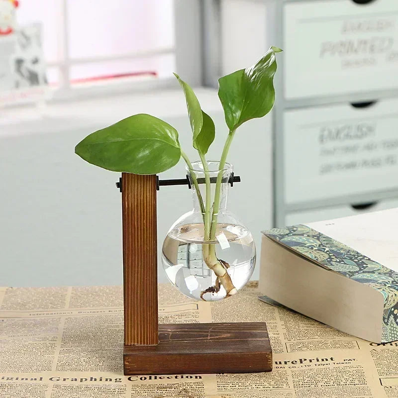 Elegant Vintage Terrarium Hydroponic Plant Vases - Transparent Glass Planters with Wooden Frame for Stunning Tabletop Bonsai Home Decor
